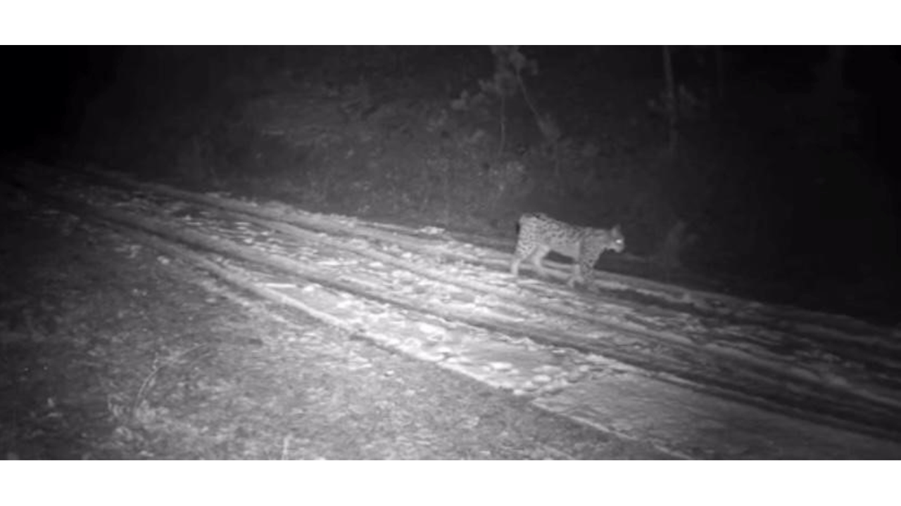 Foto - Bu görüntü Çankırı'da çekildi!