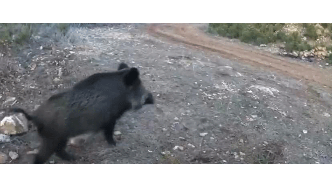 Foto - Bu görüntü Çankırı'da çekildi!