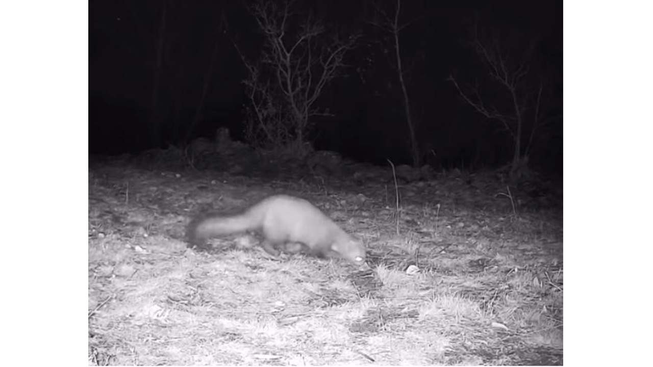 Foto - Bu görüntü Çankırı'da çekildi!