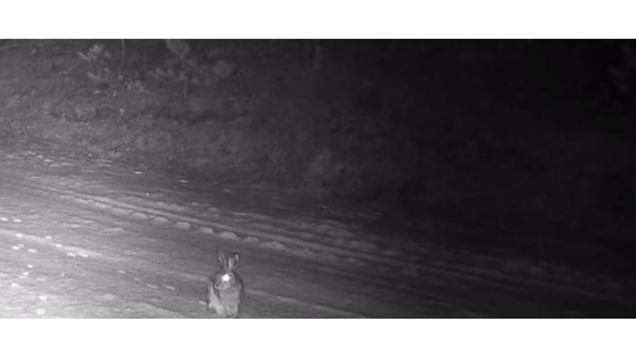 Foto - Bu görüntü Çankırı'da çekildi!