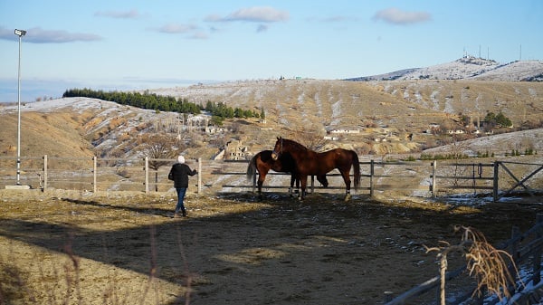 Foto - Bu görüntü herkesi şaşırttı! İki kare aynı gün aynı bölgede çekildi