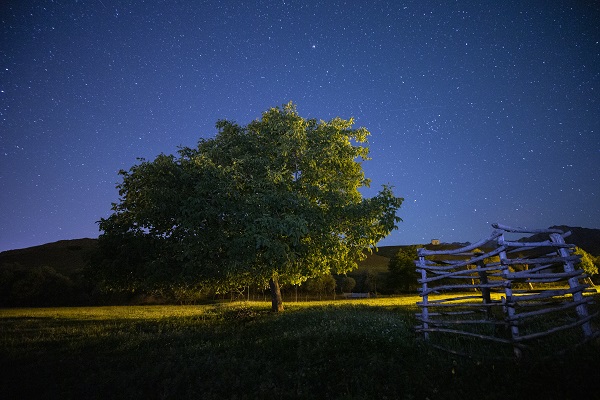 Foto - Bu görüntü için çok uzaklara gitmeye gerek yok! Bu kareler Türkiye'de çekildi