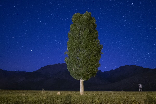 Foto - Bu görüntü için çok uzaklara gitmeye gerek yok! Bu kareler Türkiye'de çekildi