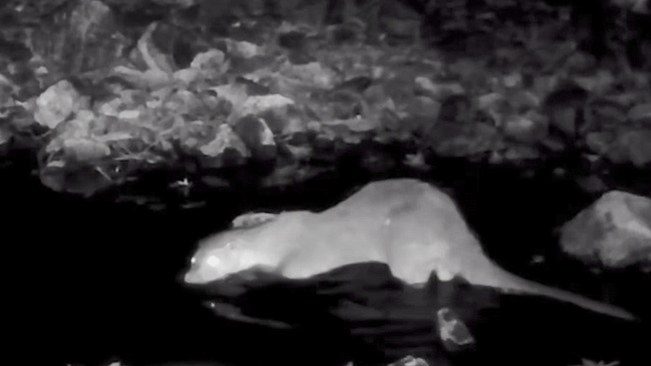 Foto - Bu görüntü Muğla'da çekildi!