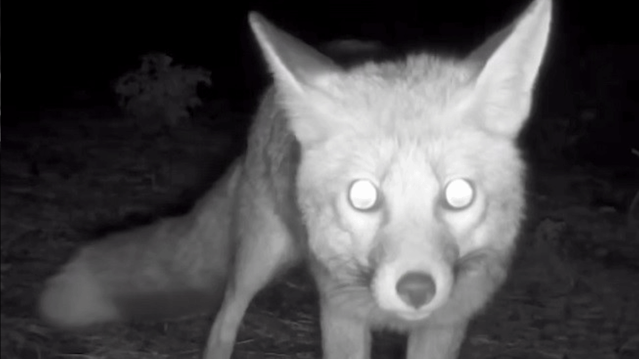 Foto - Bu görüntü Muğla'da çekildi!
