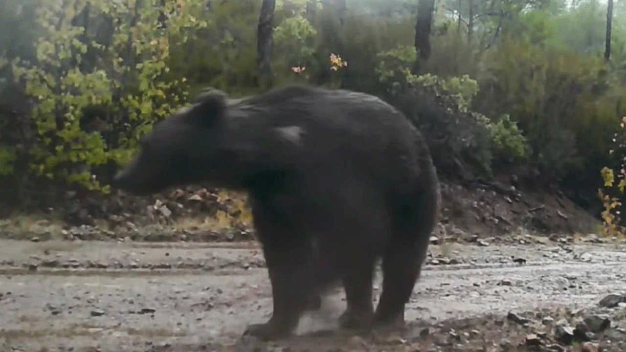 Foto - Bu görüntü Muğla'da çekildi!