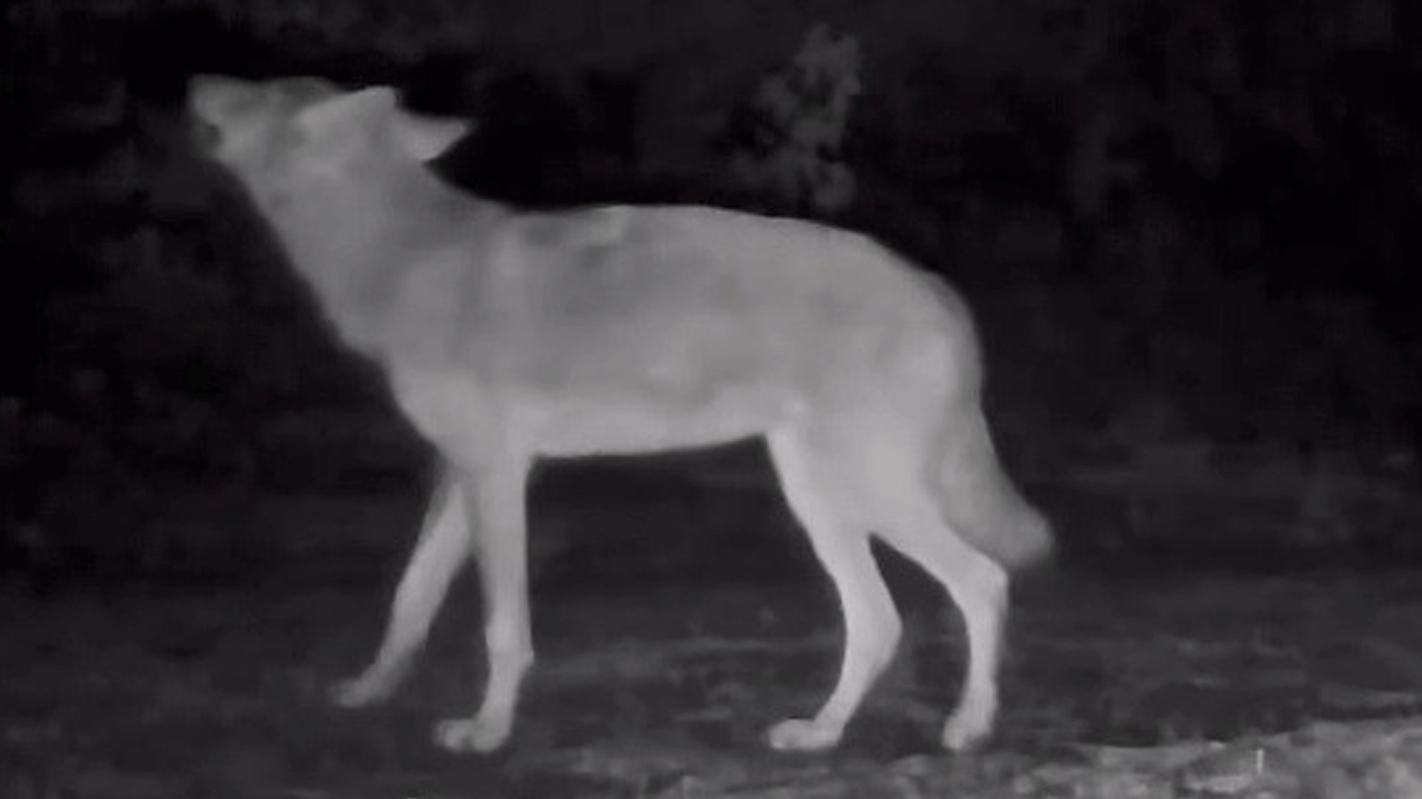 Foto - Bu görüntü Muğla'da çekildi!