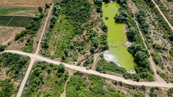 Foto - Bu görüntüler Afrika'da çekilmedi! Belgeselleri aratmayan görüntüler Tokat'ta çekildi