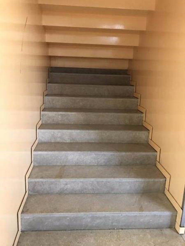 Foto - Bu görüntüler içinizi acıtacak!