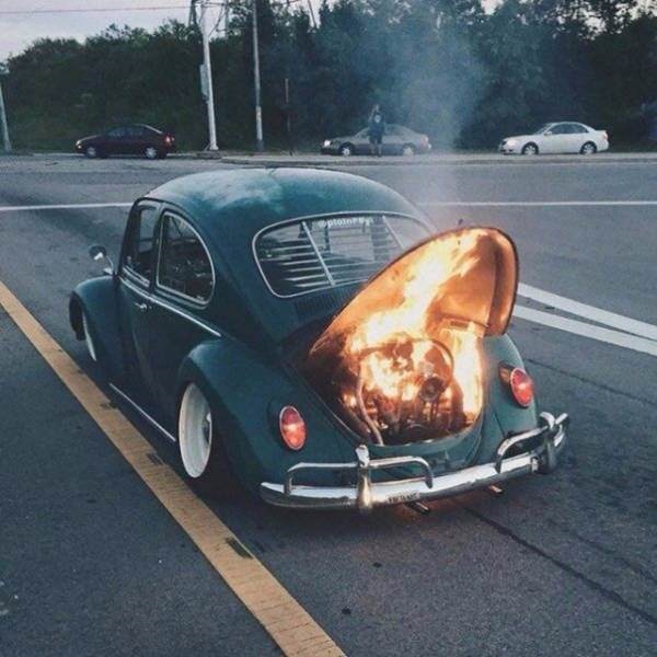 Foto - Bu görüntüler içinizi acıtacak!