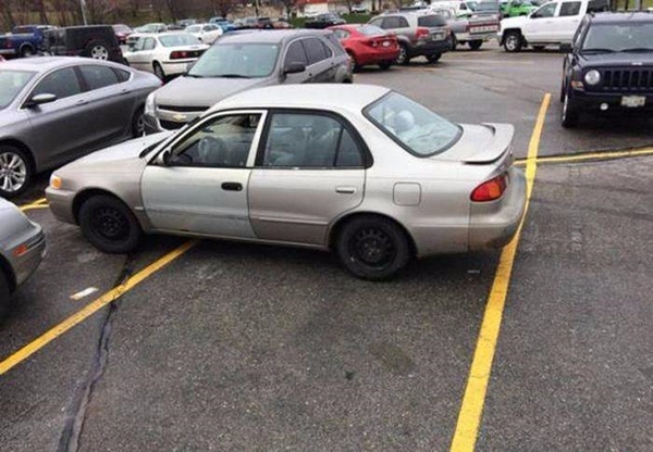 Foto - Bu görüntüler içinizi acıtacak!