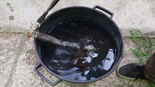 Foto - Bu görüntüler milyonlarca kez izlendi! Paslı baltanın son hali herkesi şaşırttı