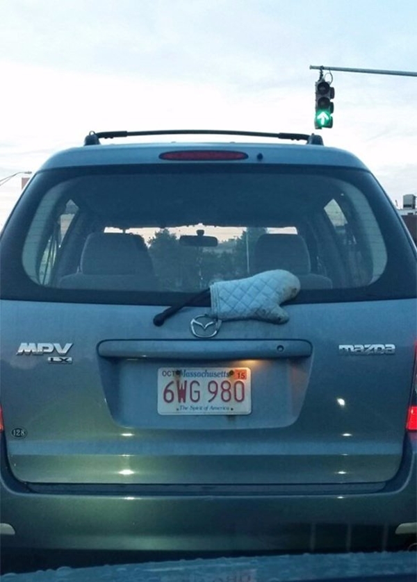 Foto - Bu görüntüler paylaşım rekorları kırıyor!