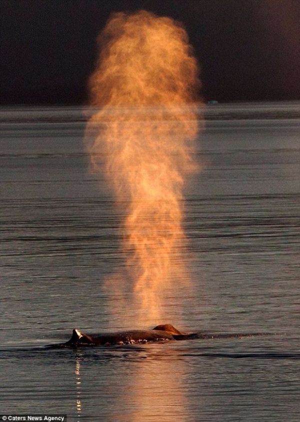 Foto - Bu görüntülerde gözleriniz sizi yanıltacak!