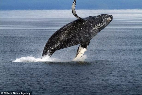 Foto - Bu görüntülerde gözleriniz sizi yanıltacak!