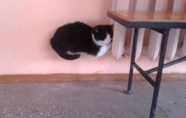 Foto - Bu görüntülerde gözleriniz sizi yanıltacak!