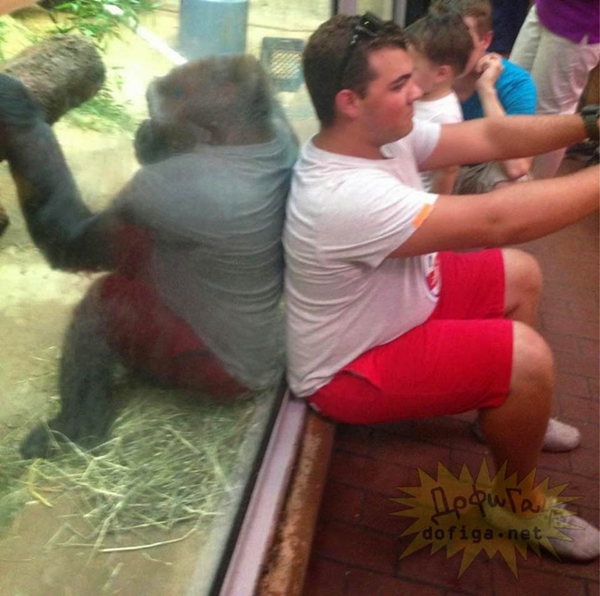 Foto - Bu görüntülerde gözleriniz sizi yanıltacak!