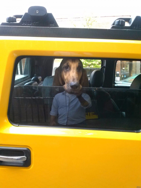 Foto - Bu görüntülerde gözleriniz sizi yanıltacak!