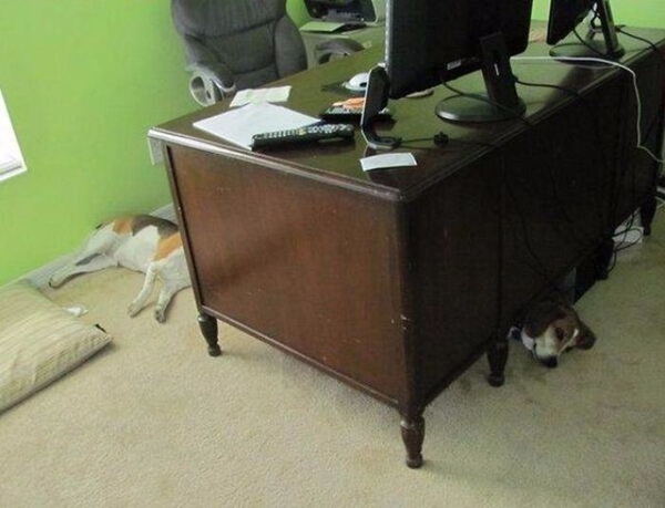 Foto - Bu görüntülerde gözleriniz sizi yanıltacak!