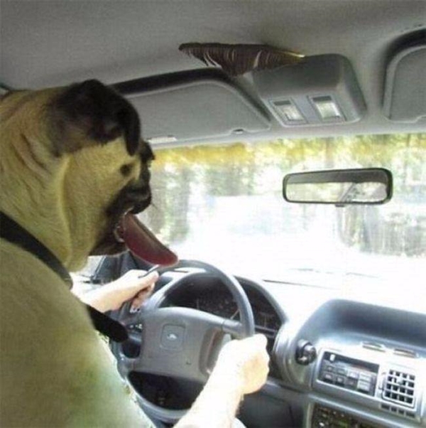 Foto - Bu görüntülerde gözleriniz sizi yanıltacak!