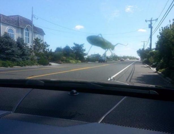 Foto - Bu görüntülerde gözleriniz sizi yanıltacak!