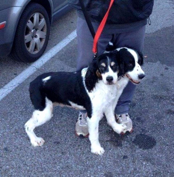 Foto - Bu görüntülerde gözleriniz sizi yanıltacak!