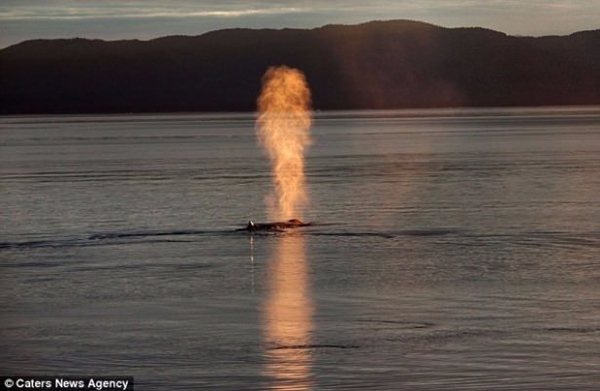 Foto - Bu görüntülerde gözleriniz sizi yanıltacak!
