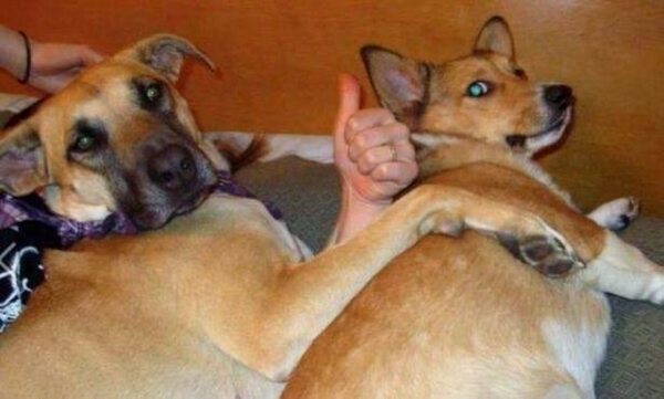 Foto - Bu görüntülerde gözleriniz sizi yanıltacak!