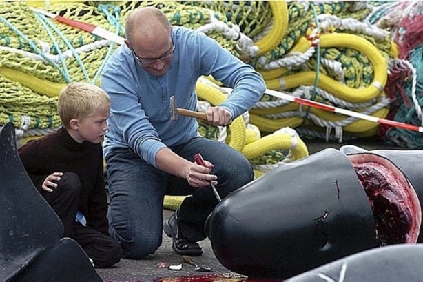 Foto - Bu görüntülere vahşet kelimesi az kalır!