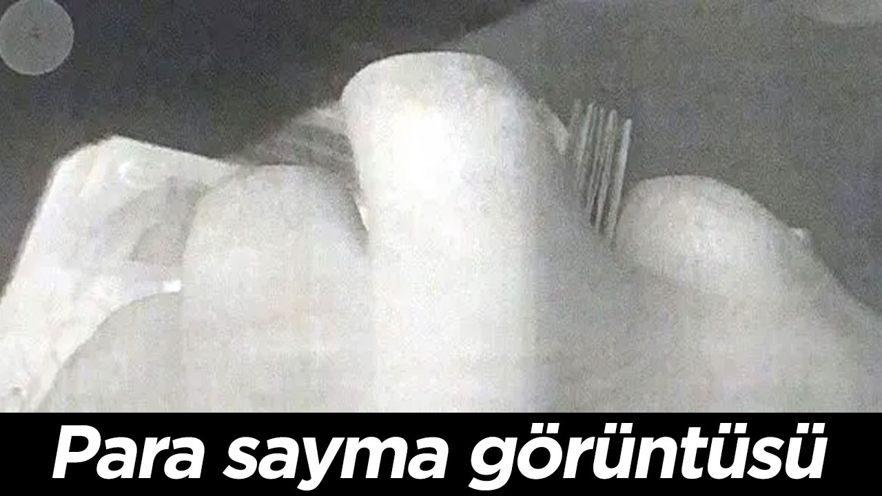 Foto - Bu görüntüleri CHP’lilerin gözüne sokun!