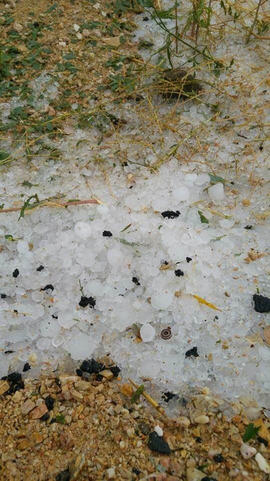 Foto - Bu görüntüleri görenler gözlerine inanamadı