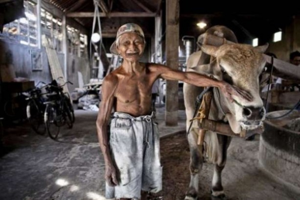 Bu görüntüleri mideniz kaldırmayabilir!