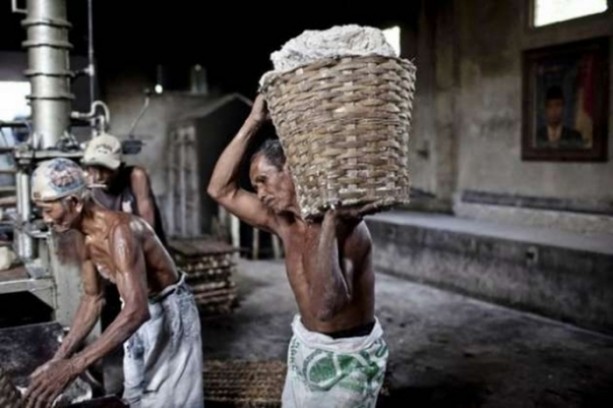 Foto - Bu görüntüleri mideniz kaldırmayabilir!