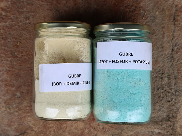 Foto - Bu gübre madenlerden üretiliyor