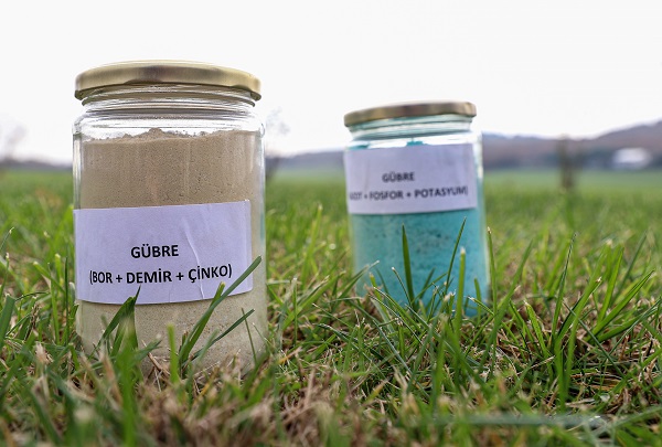 Foto - Bu gübre madenlerden üretiliyor