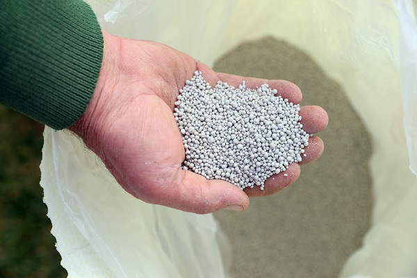 Foto - Bu gübre madenlerden üretiliyor