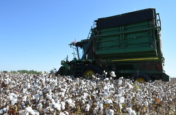 Foto - Bu gübre maliyetleri düşürecek