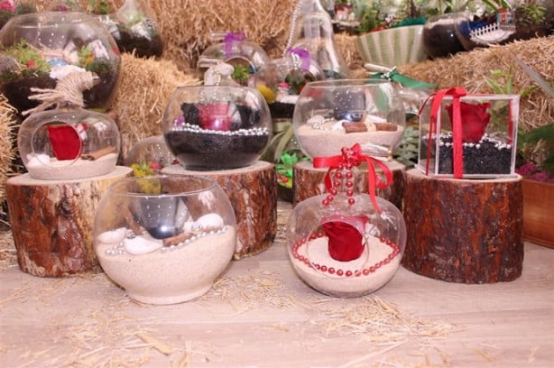 Foto - Bu güller 3 sene solmuyor