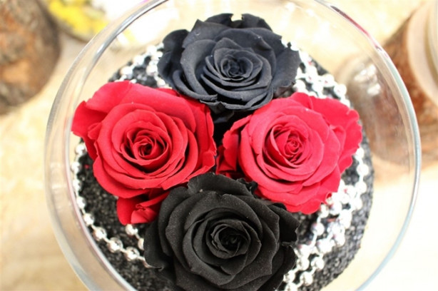 Bu güller 3 sene solmuyor