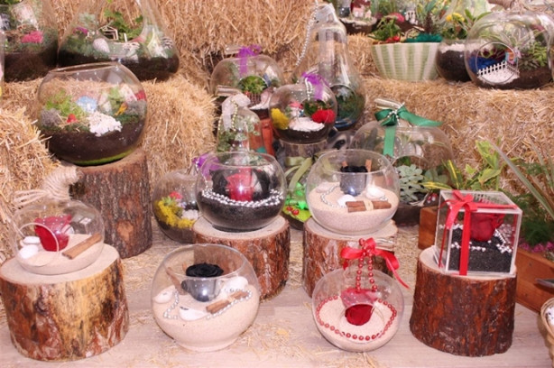 Foto - Bu güller 3 sene solmuyor