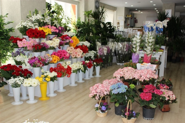 Foto - Bu güller 3 sene solmuyor