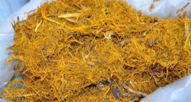 Foto - Bu günlerde çok aratılıyor! Bağışıklığı güçlendiren 10 bitki çayı