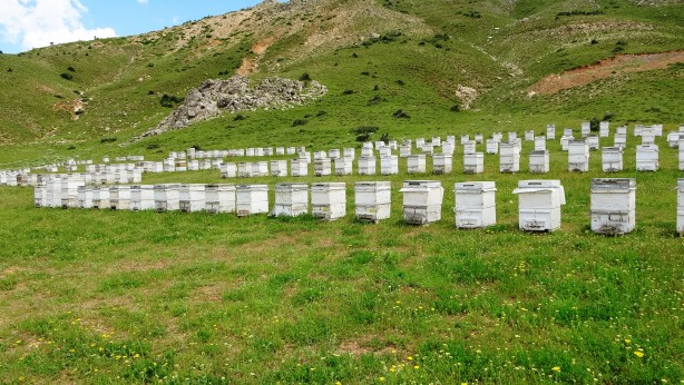 Foto - Bu gurur Türkiye’nin! 120 ülke arasında birinciyiz