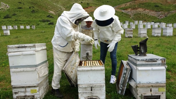 Foto - Bu gurur Türkiye’nin! 120 ülke arasında birinciyiz