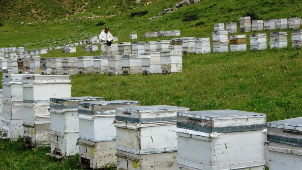 Foto - Bu gurur Türkiye’nin! 120 ülke arasında birinciyiz