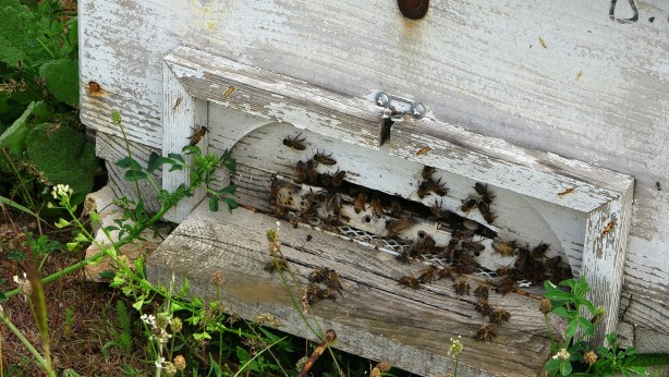 Foto - Bu gurur Türkiye’nin! 120 ülke arasında birinciyiz