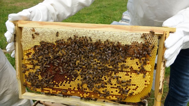 Foto - Bu gurur Türkiye’nin! 120 ülke arasında birinciyiz