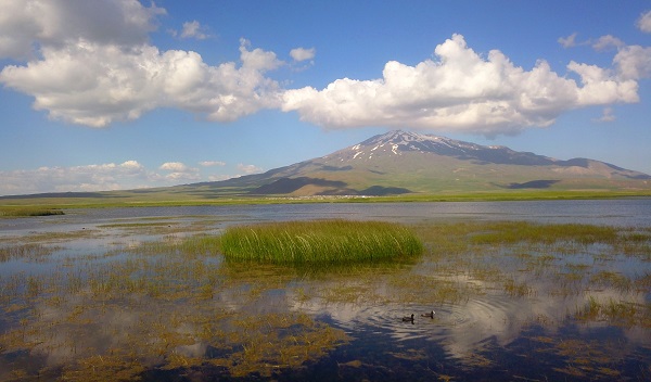 Foto - Bu güzelliği görenler telefonlarına sarılıyor