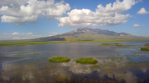 Foto - Bu güzelliği görenler telefonlarına sarılıyor