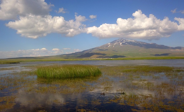 Foto - Bu güzelliği görenler telefonlarına sarılıyor